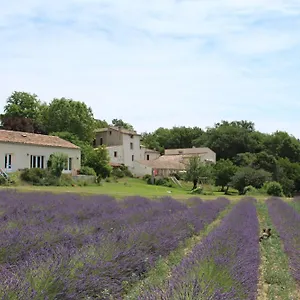 Les Anes De Forcalquier