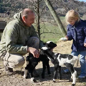 Domaine Du Bas Chalus Forcalquier
